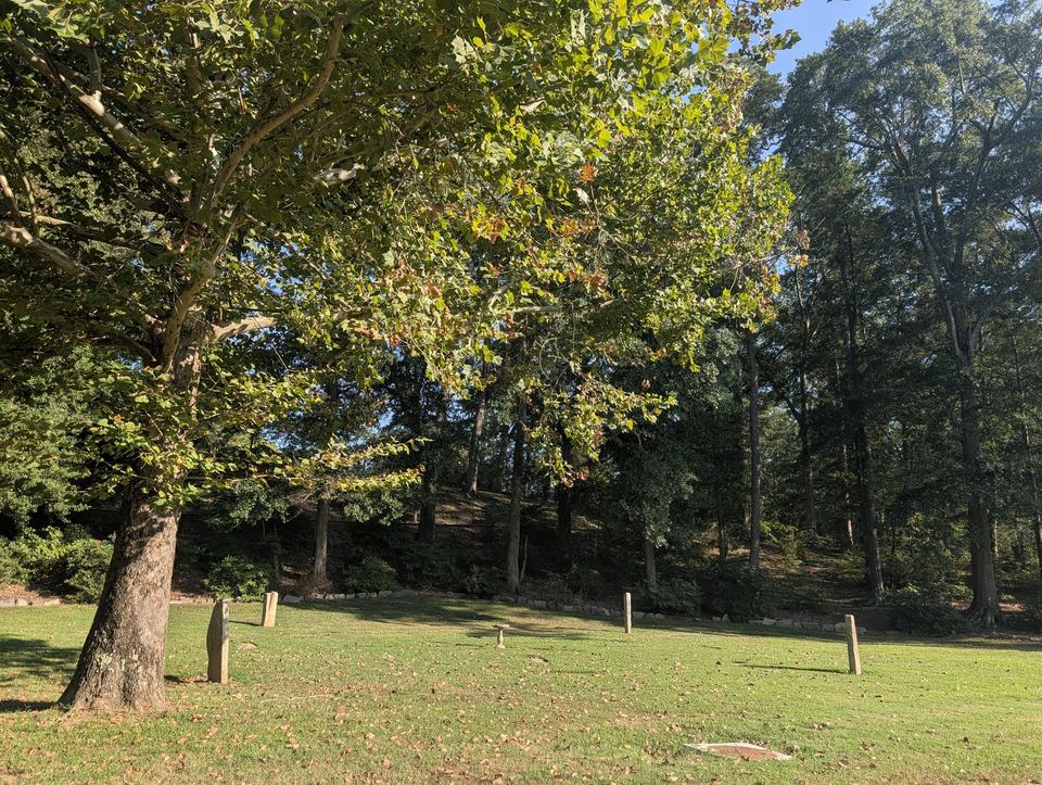 A large tree shading a lawn beside a paved path, with woods behind.